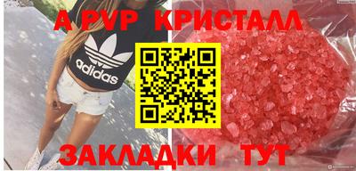 сатива Моздок
