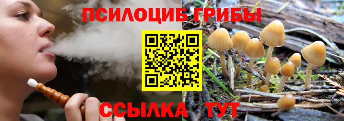 Псилоцибиновые грибы Psilocybe Алушта
